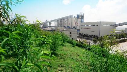 一砂一世界 千業(yè)千般美