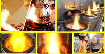 英美環?？萍兼谟托履茉锤采w需求廣泛