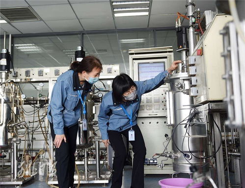 創(chuàng)新河北正當(dāng)時(shí) 技術(shù)交流賦能高質(zhì)量發(fā)展新篇章